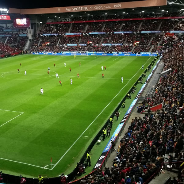 Soccer Dream Soccer Dream